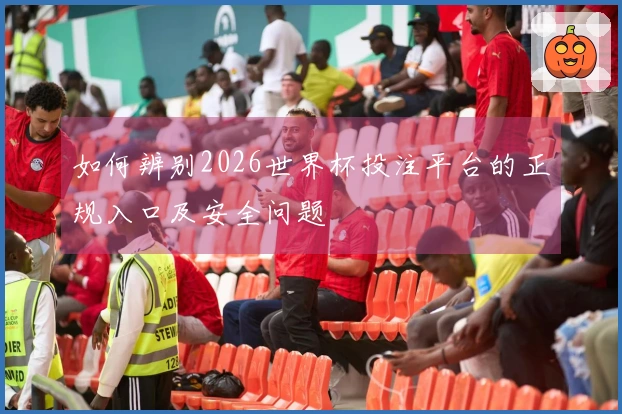 如何辨别2026世界杯投注平台的正规入口及安全问题