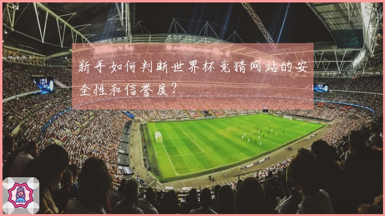 新手如何判断世界杯竞猜网站的安全性和信誉度？