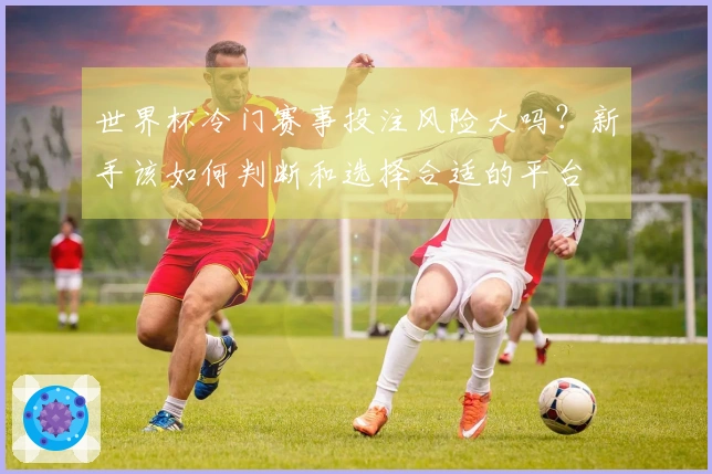 世界杯冷门赛事投注风险大吗？新手该如何判断和选择合适的平台