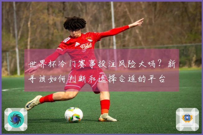 世界杯冷门赛事投注风险大吗？新手该如何判断和选择合适的平台